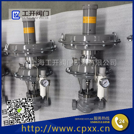 NGP天然氣調壓器-供氮閥-天然氣壓力調節(jié)器-自力式減壓調節(jié)器