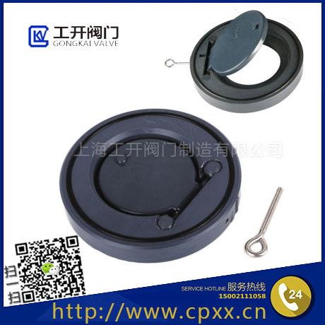 UPVC/PPH塑料對(duì)夾式止回閥|H71X-10S